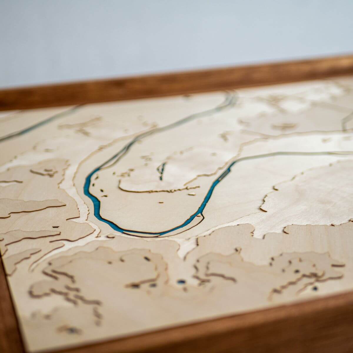 Détails du relief de la carte de Paris en bois