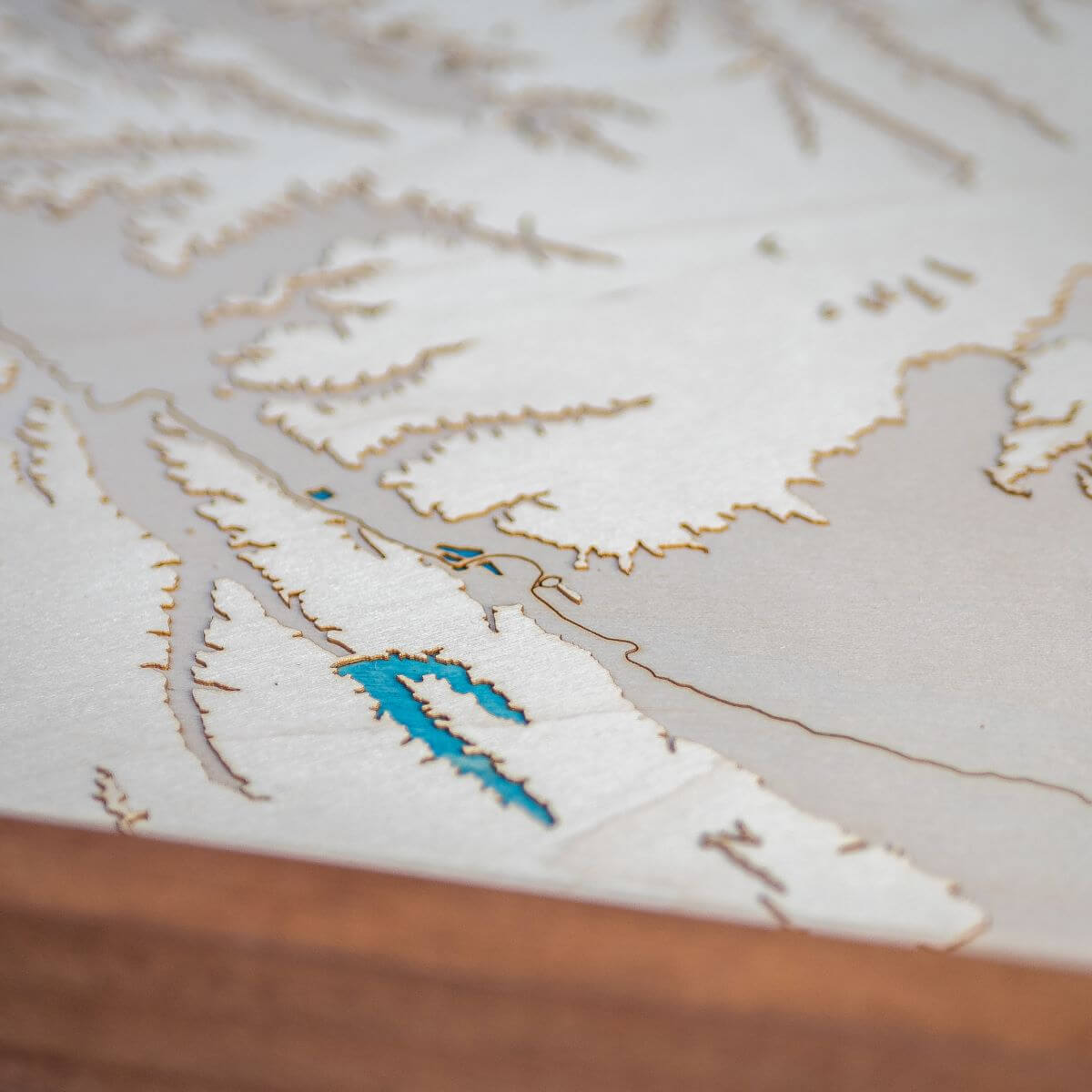 Détails du relief de la carte du Lauragais en bois
