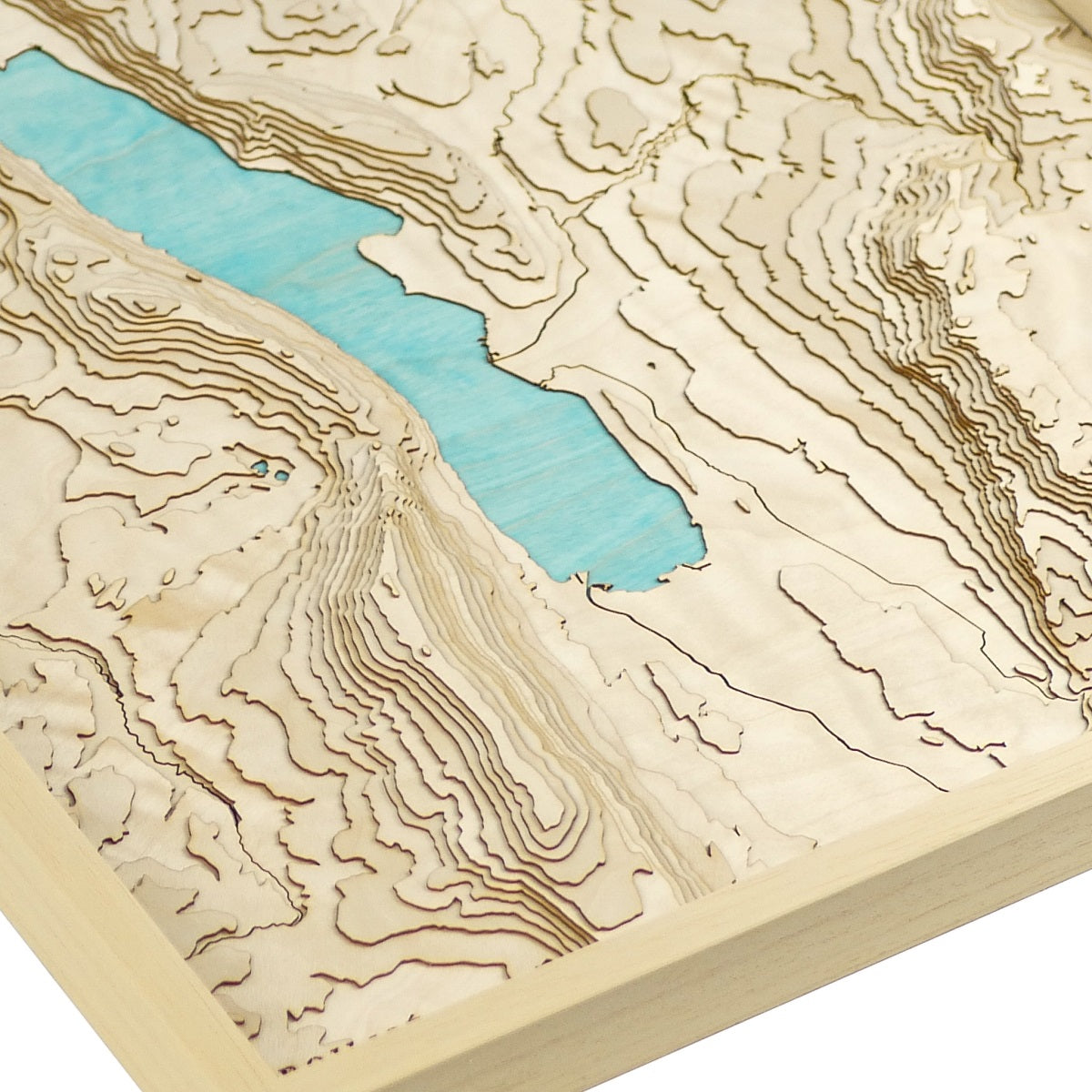 Détails du relief en bois du sud du lac du bourget
